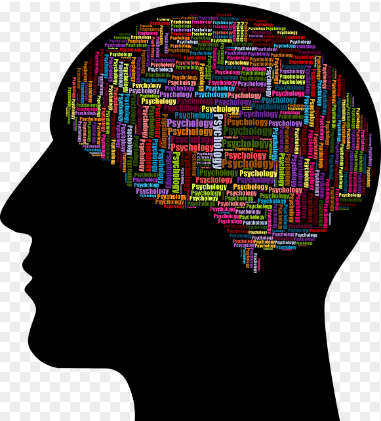 Health Creative Sciences